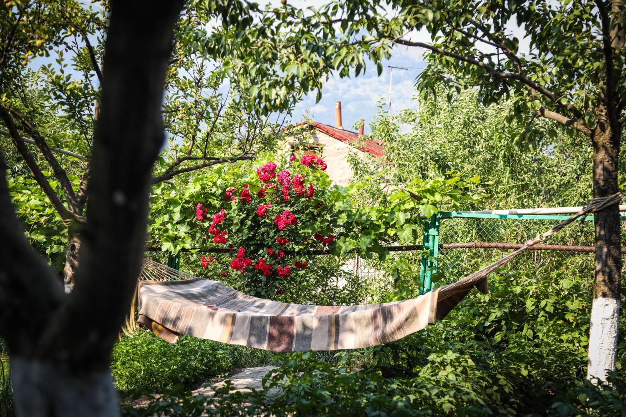 Hayi Tun Guest House Goris Exterior photo